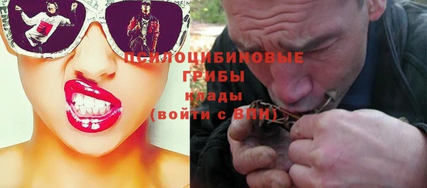 соль ск Гусиноозёрск