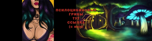 индика Гусев